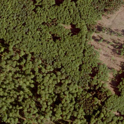 Satellite imagery of Sengkopf, DE
