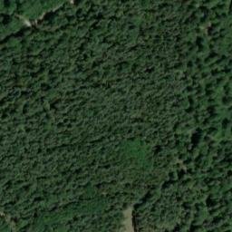 Satellite imagery of Mühlberg, DE