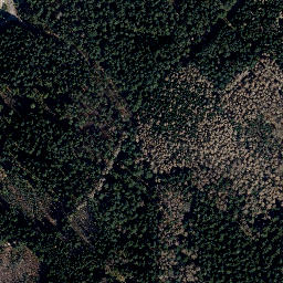 Satellite imagery of Pelzkopf, DE