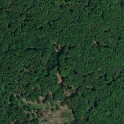 Satellite imagery of Dub [Doksy u Máchova jezera], CZ