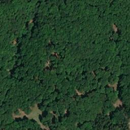 Satellite imagery of Dub [Doksy u Máchova jezera], CZ