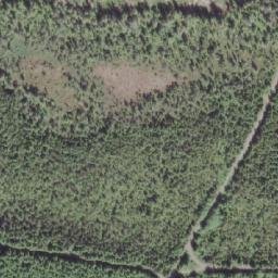 Satellite imagery of Port Hardy LORAN-C Transmitter, CA