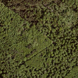 Satellite imagery of Walbersberg, DE