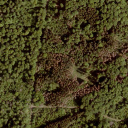 Satellite imagery of Sengkopf, DE