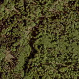 Satellite imagery of Sengkopf, DE