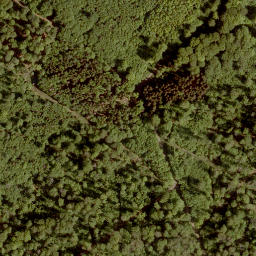 Satellite imagery of Sengkopf, DE