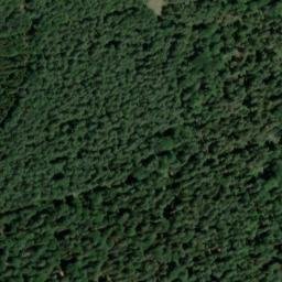 Satellite imagery of Mühlberg, DE