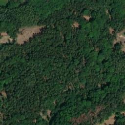 Satellite imagery of Dub [Doksy u Máchova jezera], CZ