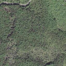 Satellite imagery of Port Hardy LORAN-C Transmitter, CA