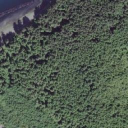 Satellite imagery of Lady Ellen Point, CA