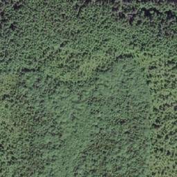 Satellite imagery of Lady Ellen Point, CA