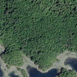 Satellite imagery of Maggy Point, CA
