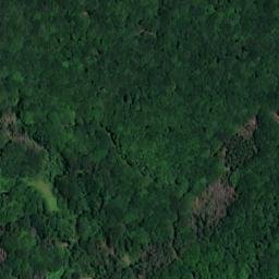 Satellite imagery of Wingertsberg, DE