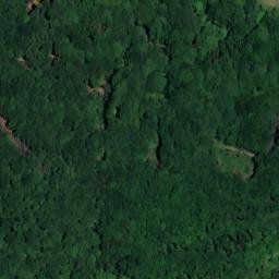 Satellite imagery of Wingertsberg, DE