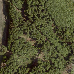 Satellite imagery of Reitzberg, DE