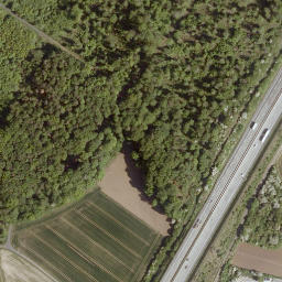 Satellite imagery of Reitzberg, DE