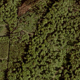 Satellite imagery of Sengkopf, DE