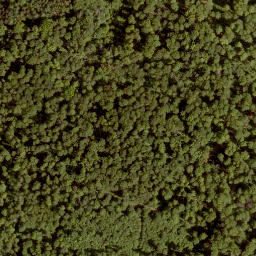 Satellite imagery of Sengkopf, DE