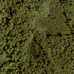 Satellite imagery of Sengkopf, DE
