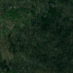 Satellite imagery of Vlhošť, CZ