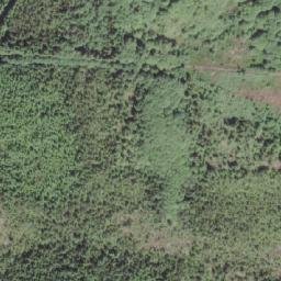 Satellite imagery of Port Hardy LORAN-C Transmitter, CA