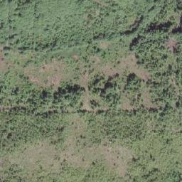 Satellite imagery of Port Hardy LORAN-C Transmitter, CA