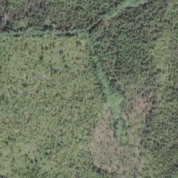 Satellite imagery of Port Hardy LORAN-C Transmitter, CA