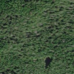 Satellite imagery of Mount Haig, CA