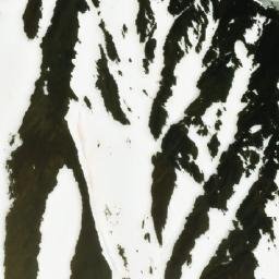 Satellite imagery of Mount Scarlett O'Hara, CA