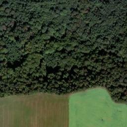 Satellite imagery of Bžanský vrch [Bžany], CZ