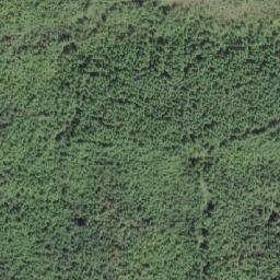 Satellite imagery of Washlawlis Hill, CA