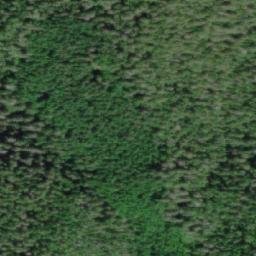 Satellite imagery of Mount Haig, CA
