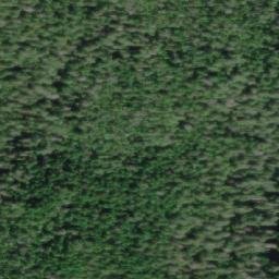 Satellite imagery of Mount Haig, CA