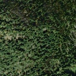 Satellite imagery of White Mountain, CA