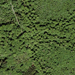 Satellite imagery of Bitz-Berg, DE