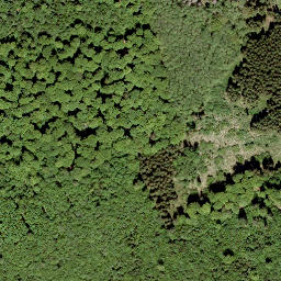 Satellite imagery of Bitz-Berg, DE