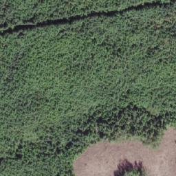 Satellite imagery of Washlawlis Hill, CA