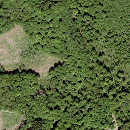 Satellite imagery of Bitz-Berg, DE