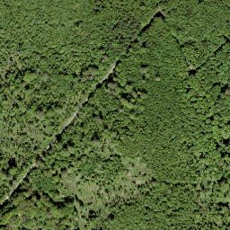 Satellite imagery of Bitz-Berg, DE