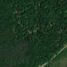 Satellite imagery of Dachsberg, DE