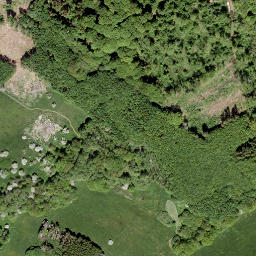 Satellite imagery of Bitz-Berg, DE