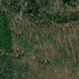 Satellite imagery of Wernersberg, DE