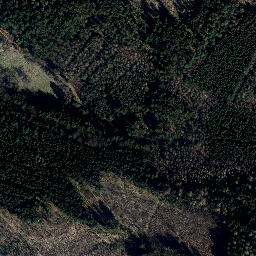 Satellite imagery of Silbachshöhe, DE