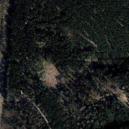 Satellite imagery of Silbachshöhe, DE