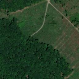 Satellite imagery of Dachsberg, DE