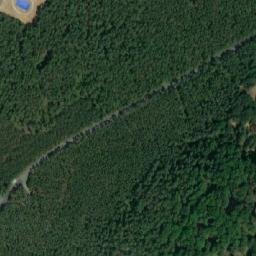 Satellite imagery of Mlýnský vrch [Doksy u Máchova jezera], CZ