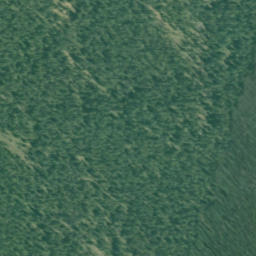 Satellite imagery of Elk Pass, CA