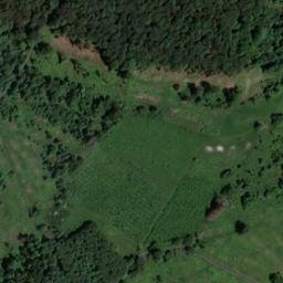 Satellite imagery of Lohnhölzchen, DE