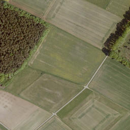 Satellite imagery of Niederwald, DE