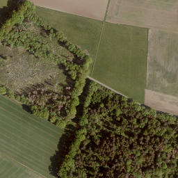 Satellite imagery of Niederwald, DE
